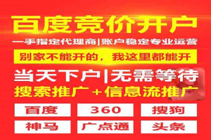 某某企业SEM营销案例：从SEM到全渠道营销的转型之路